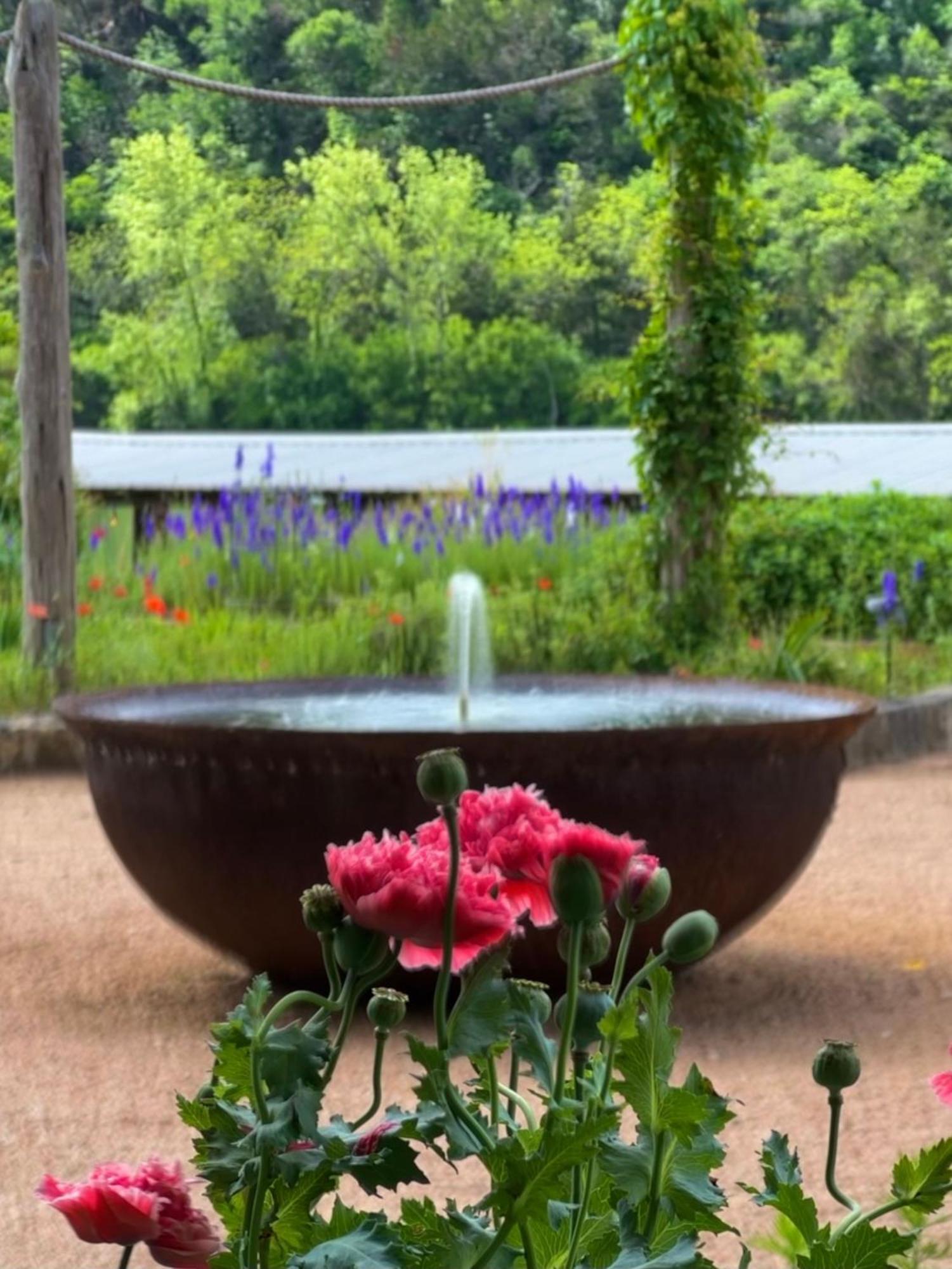 Lake Austin Spa Resort Zewnętrze zdjęcie