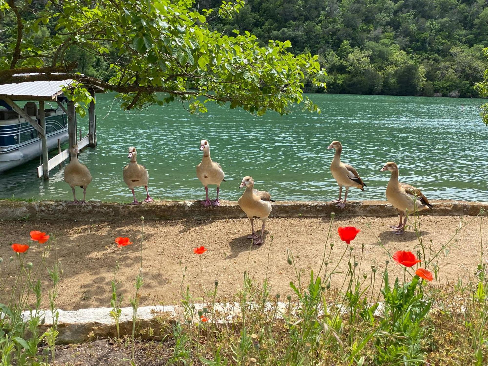 Lake Austin Spa Resort Zewnętrze zdjęcie